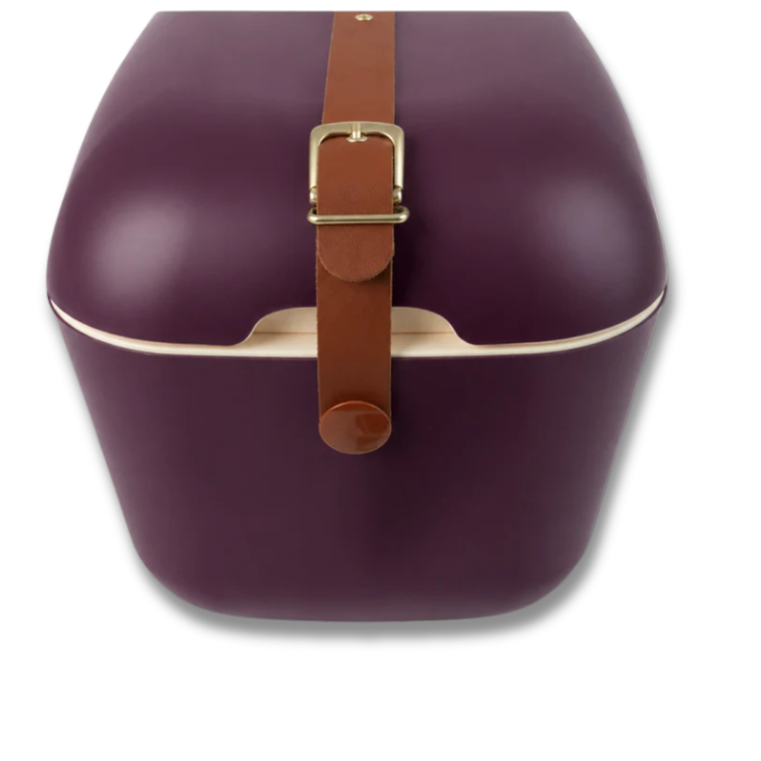 Cava 20LTS  MORADO POLARBOX